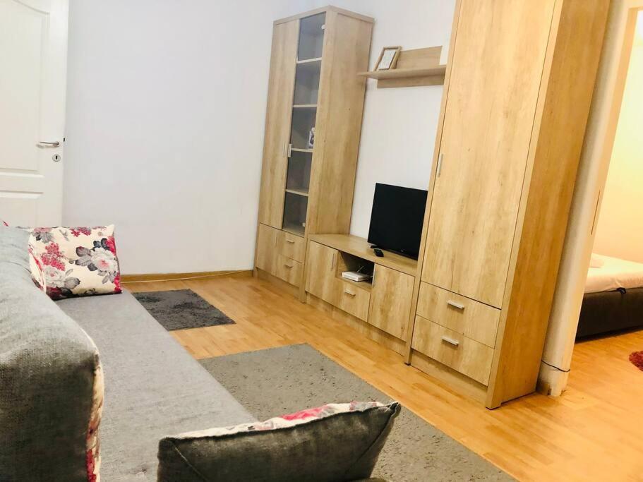 Nice Apt Near Spitalul Judetean, All You Need Lr14 Тімішоара Екстер'єр фото