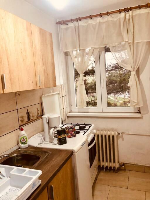 Nice Apt Near Spitalul Judetean, All You Need Lr14 Тімішоара Екстер'єр фото