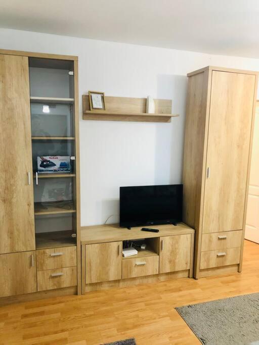 Nice Apt Near Spitalul Judetean, All You Need Lr14 Тімішоара Екстер'єр фото