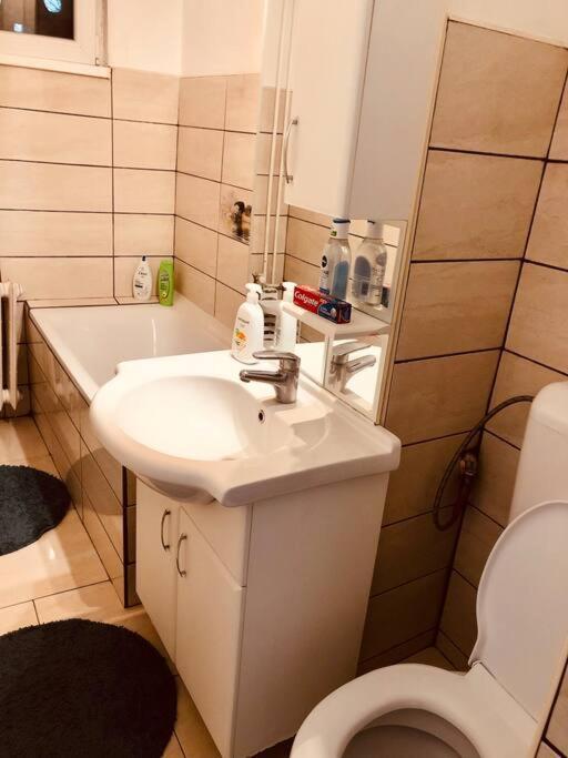 Nice Apt Near Spitalul Judetean, All You Need Lr14 Тімішоара Екстер'єр фото