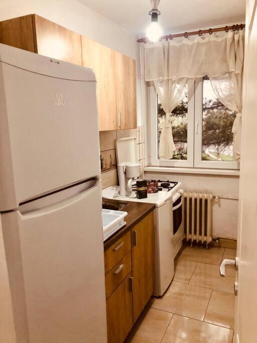 Nice Apt Near Spitalul Judetean, All You Need Lr14 Тімішоара Екстер'єр фото