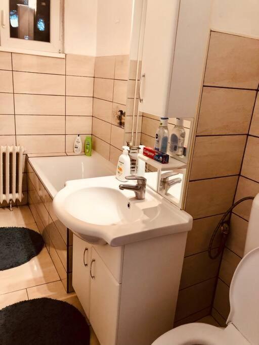 Nice Apt Near Spitalul Judetean, All You Need Lr14 Тімішоара Екстер'єр фото