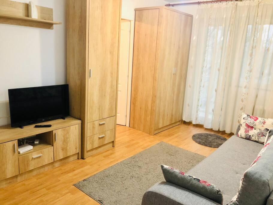 Nice Apt Near Spitalul Judetean, All You Need Lr14 Тімішоара Екстер'єр фото