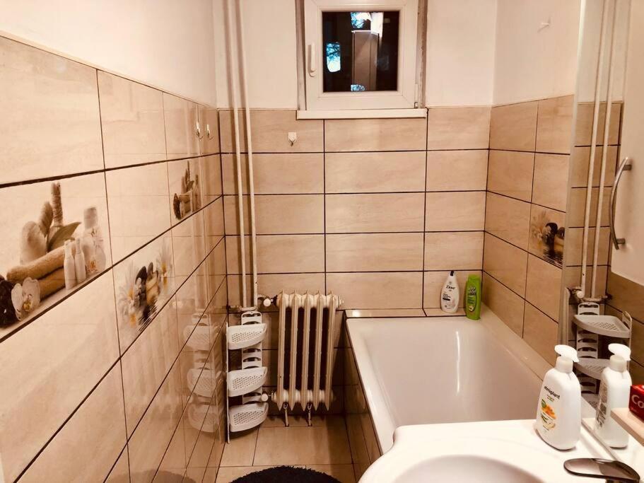 Nice Apt Near Spitalul Judetean, All You Need Lr14 Тімішоара Екстер'єр фото