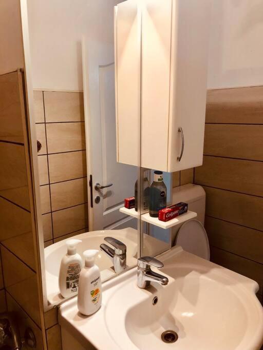 Nice Apt Near Spitalul Judetean, All You Need Lr14 Тімішоара Екстер'єр фото