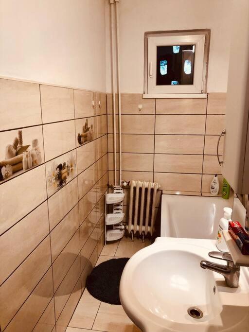 Nice Apt Near Spitalul Judetean, All You Need Lr14 Тімішоара Екстер'єр фото
