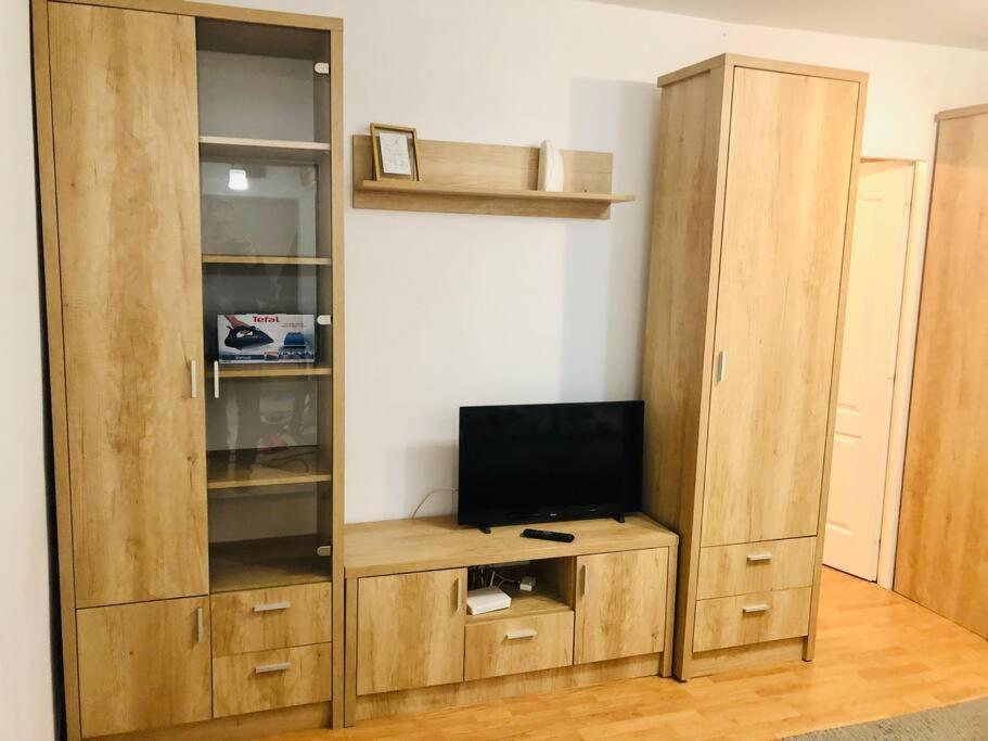 Nice Apt Near Spitalul Judetean, All You Need Lr14 Тімішоара Екстер'єр фото