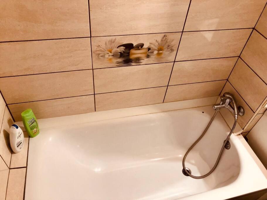 Nice Apt Near Spitalul Judetean, All You Need Lr14 Тімішоара Екстер'єр фото