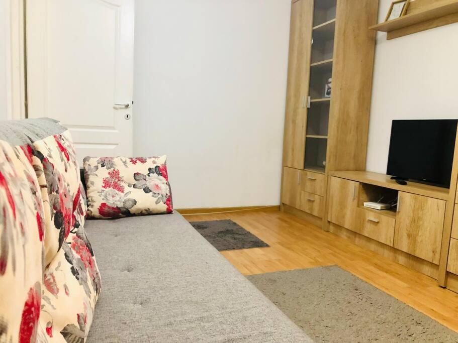 Nice Apt Near Spitalul Judetean, All You Need Lr14 Тімішоара Екстер'єр фото
